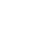 Insurance